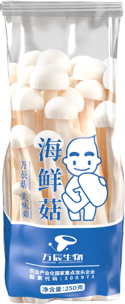 海鮮菇